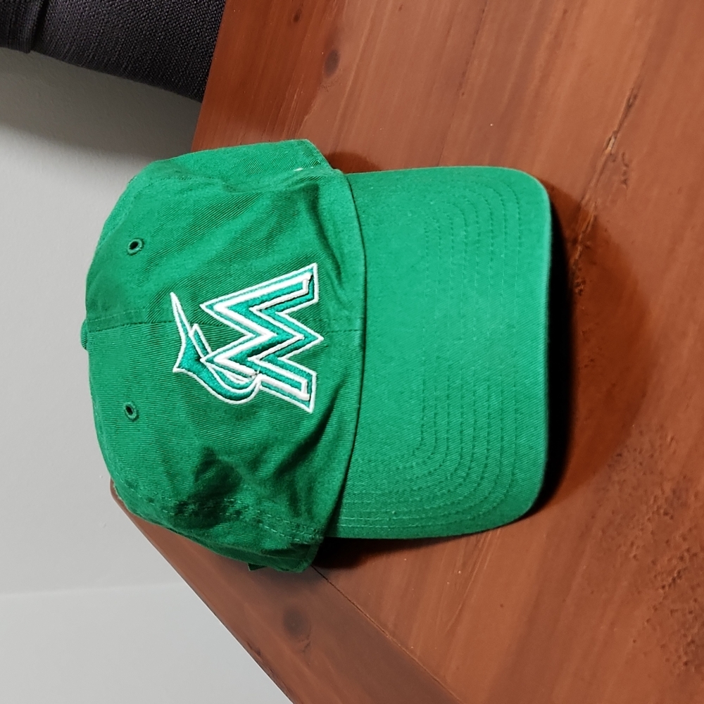 Miami Dolphins Hat